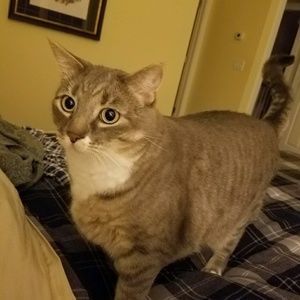 Meet your Posher, Marybeth